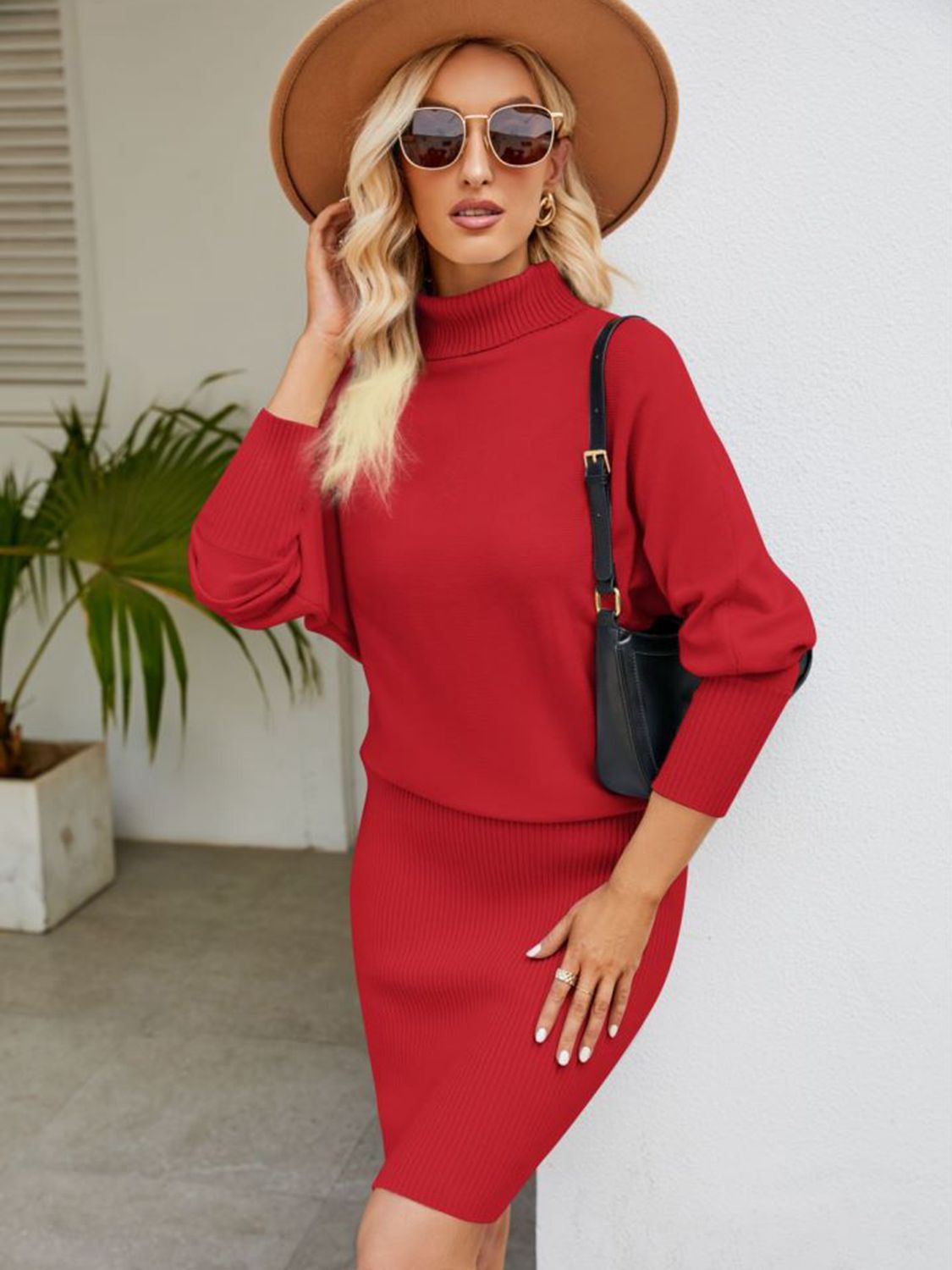 Turtle Neck Long Sleeve Ribbed Dress